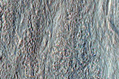 Gullies on Mid-Latitude Crater