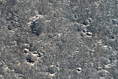 Region Surrounding InSight Landing Site