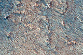 Dune Survey