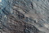 Gully Survey