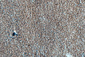 Syria Planum Dust-Raising Event Monitoring Site
