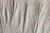 Monitoring Gully Associated Light-Toned Materials