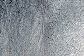 Gully Monitoring