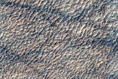 Dust-Raising Event and Streak Monitoring in Hellas Planitia