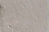 Candidate Recent Impact Site