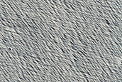 Daedalia Planum