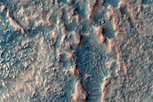 Dune Survey