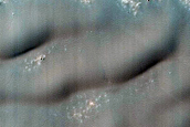 USGS Dune Database Entry Number 1553-609