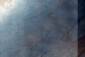 Dune Survey
