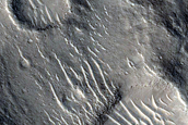 Isidis Planitia