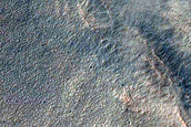 Gully Monitoring