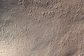 Gully Monitoring