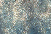 Dune Survey