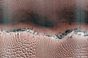 Dune Survey