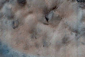 Possible Compound Dune in USGS Dune Database Entry Number 0349-763