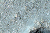 Concentric Crater Fill in Noachis Terra