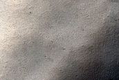 Angustus Labyrinthus