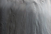 Crater-Related Pitted Materials in 3-Kilometer Crater in Elysium Planitia