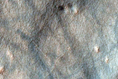 Dune Survey