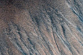 Gullies along Depression in Lyell Crater