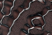 Dune Monitoring in Crater