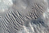 Craters North of Fesenkov Crater