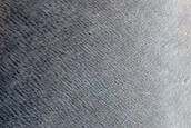 Daedalia Planum