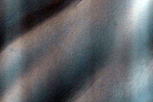 USGS Dune Database Entry Number 1765-640