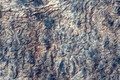 South Polar Region Cryptic Terrain Margin Monitoring in Main Crater