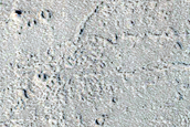 Young Outflow in Echus Chasma