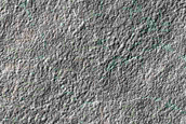 South Polar Monitoring