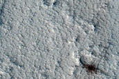 Candidate Recent Impact Site