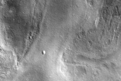 Terraced Crater in Arcadia Planitia