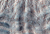 Gully Monitoring