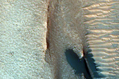 Dune Field