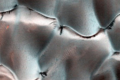 Dune Monitoring in Lyot Crater