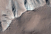 Gully Monitoring