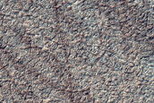 Seasonal Frost Distribution at Site of Context Camera Image