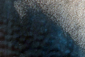 USGS Dune Database Entry Number 3537-599