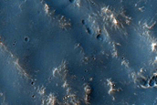Coracis Fossae