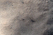 Angustus Labyrinthus