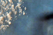 Dune Field