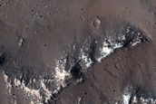 Crater-Related Pitted Materials in 8-Kilometer Crater in Daedalia Planum