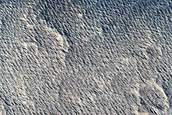 Candidate Recent Impact Site