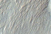 Gully with Small Alcove in Southern Mid-Latitude Crater