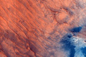 Dune Field