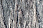 Monitor Gullies and Frost