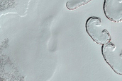 South Polar Residual Cap Monitoring Site