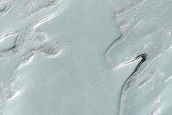 South Polar Residual Cap Monitoring