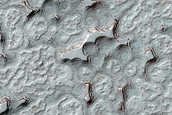 South Polar Residual Cap Site